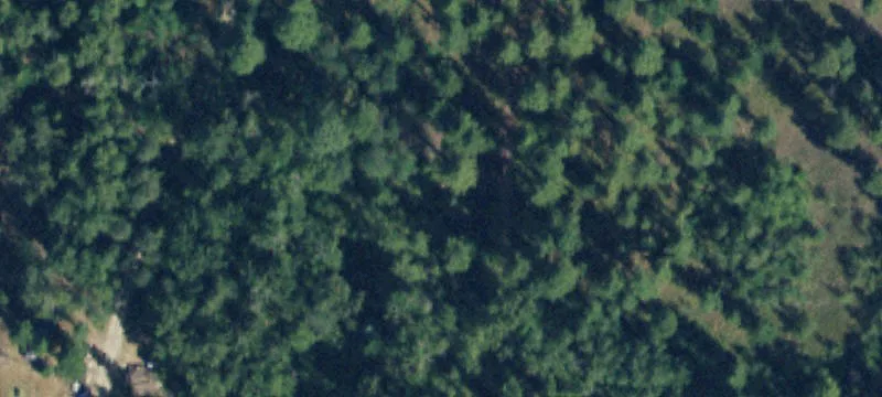 Timbered Home Site with Gravel Pad