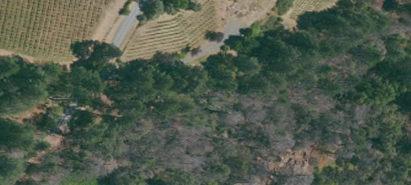 Vineyard and Winery Development Land