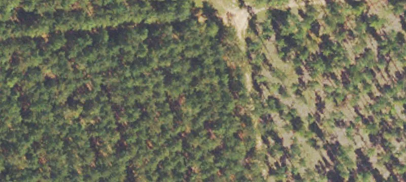 Wooded Hunting and Camping Land