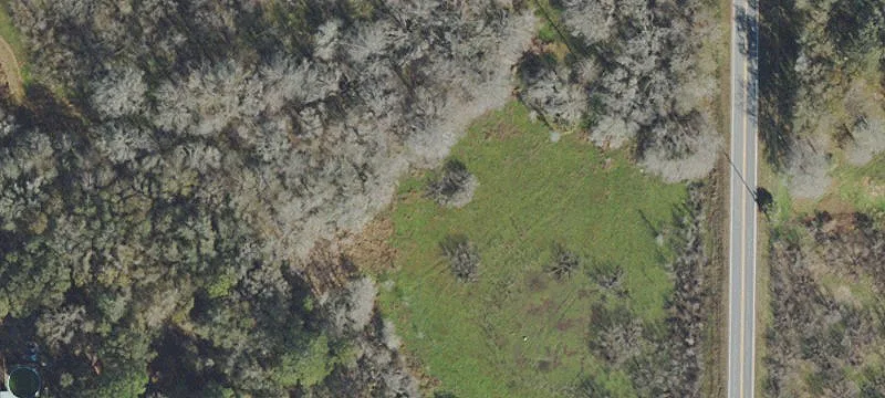 Wooded Homesite with Space to Build