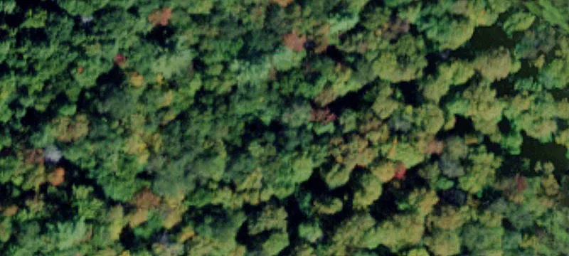 Secluded Cabin Building Lot