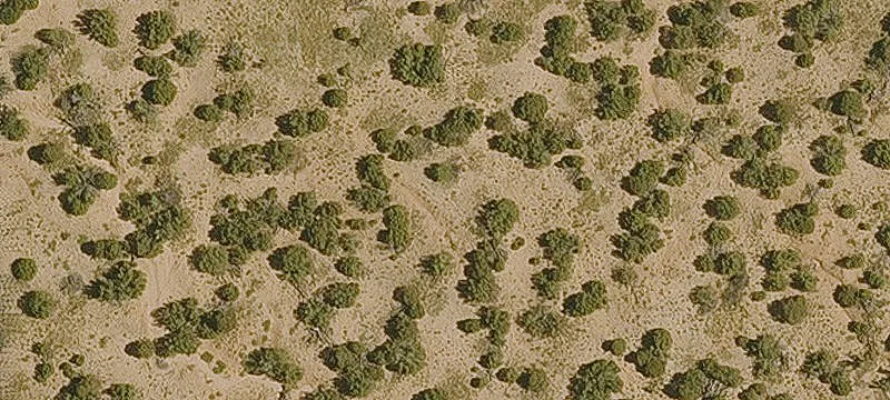 Vacant Land Lot for Development