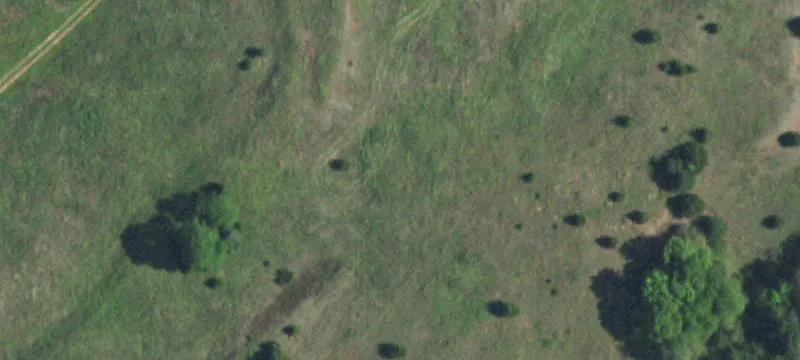 Wooded Corner Development Land