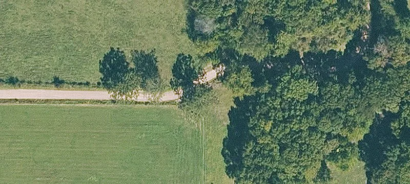 Unrestricted Land with Primitive Cabin
