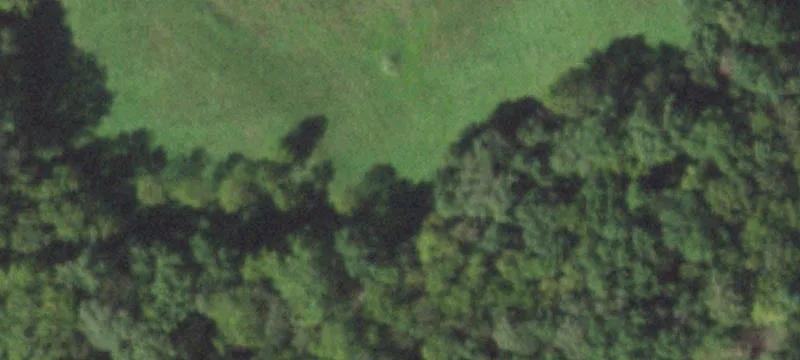 Productive Farmland and Hunting Tract