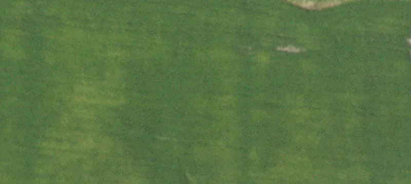 Recreational Hunting and Farmland