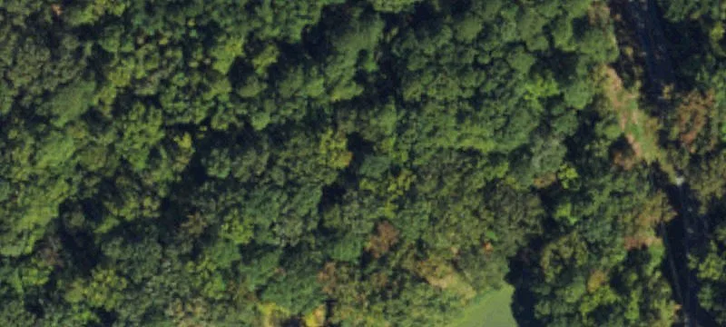 Wooded Residential Development Tract