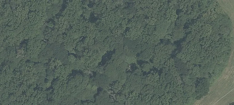 Agricultural Farmland Tract