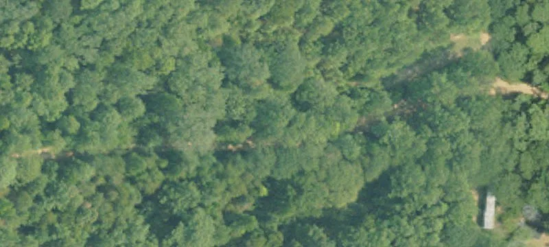 Hunting Land Tract with Pond