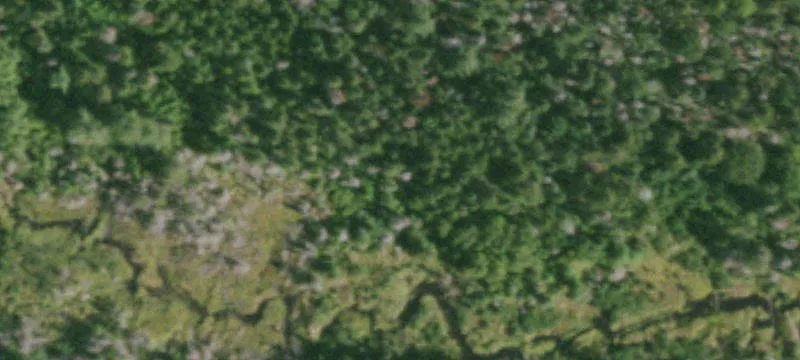 Specialty Property with Circular Driveway