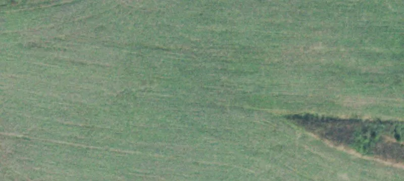 Unrestricted Wooded Hunting Land