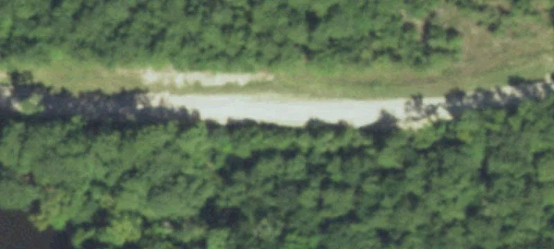 Timberland with Rolling Terrain