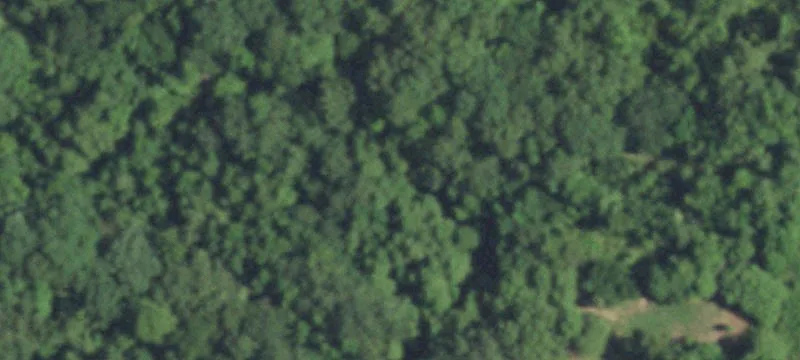 Timberland Tract with FM Frontage