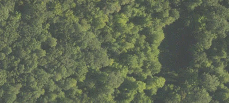 Cleared Lakefront Building Lot