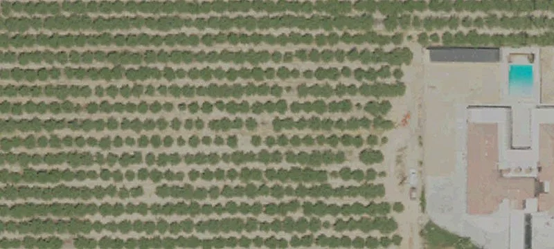 Agricultural Land Corner Parcel
