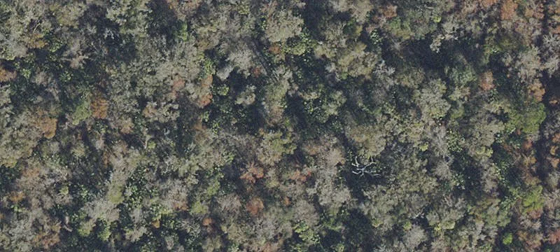 Residential Land Homesite