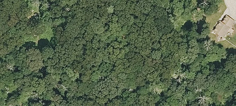 Residential Buildable Land Lot