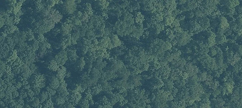 Land Parcel with Multiple Access Points