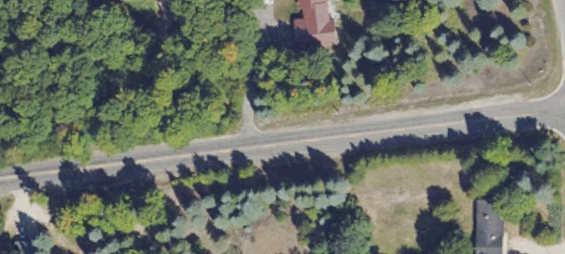 Level Agricultural Parcel with Windbreak