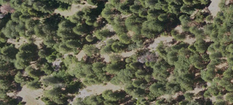 Mountain-View Residential Land
