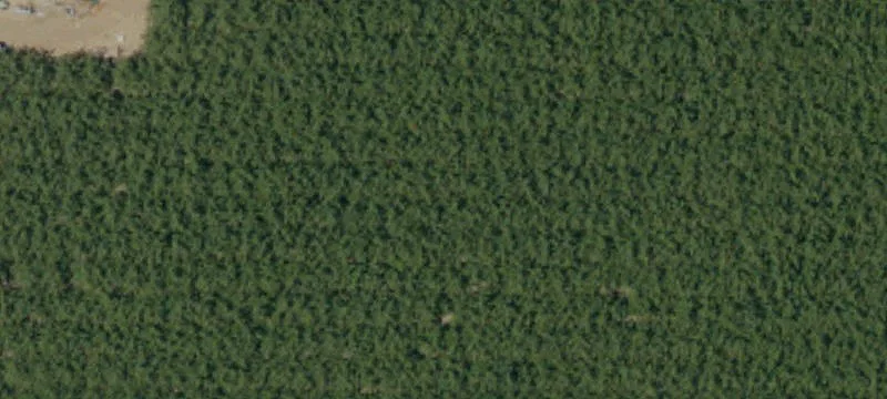 Rural Custom Home Lot