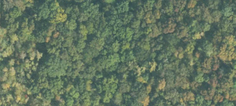 Land Parcel Sold As One