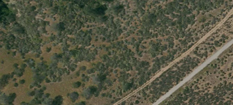 Paved-Access Mountain View Land