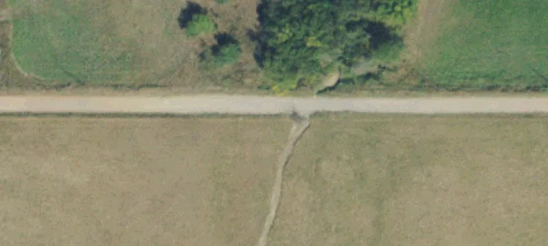 Turnkey Poultry Breeder Farm