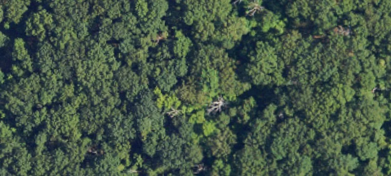 Acre Land Tract Without Restrictions