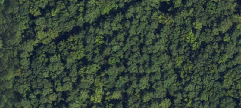 Wooded Residential Development Lot
