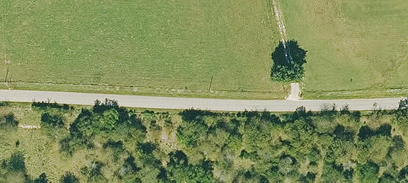 Working Cattle Farm with Multiple Ponds