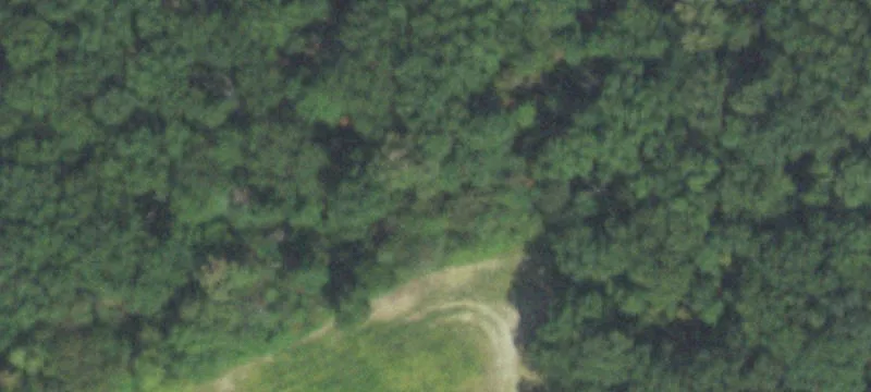 Timber and Tillable Hunting Tract