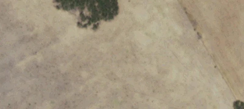 Paved-Frontage Ranchette Tract
