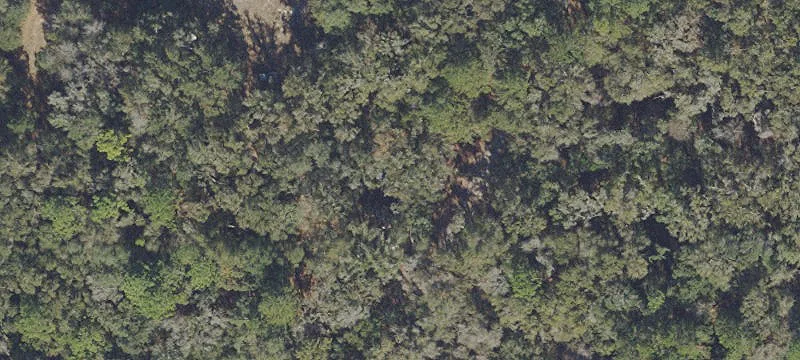 Timberland and Recreational Tract