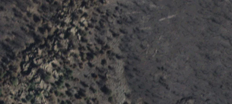 Ponderosa Pine Buildable Land Tract