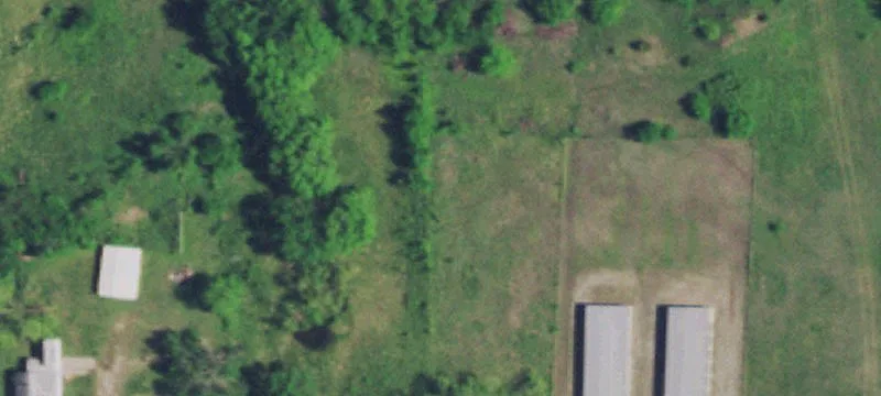 Recreational Acreage with Trail System