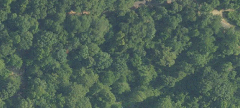Waterfront Hunting Land Lots
