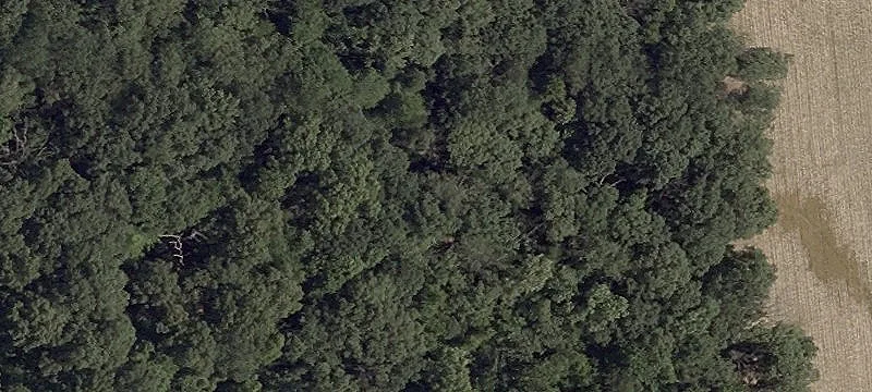 Multi-Use Farmland and Wooded Tracts