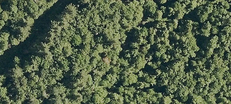 Land Parcel with On-Site Electricity