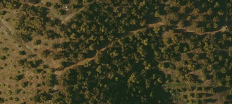 Organic Avocado Farm Land