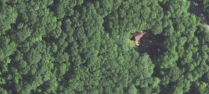 Wooded Single-Family Land Parcel