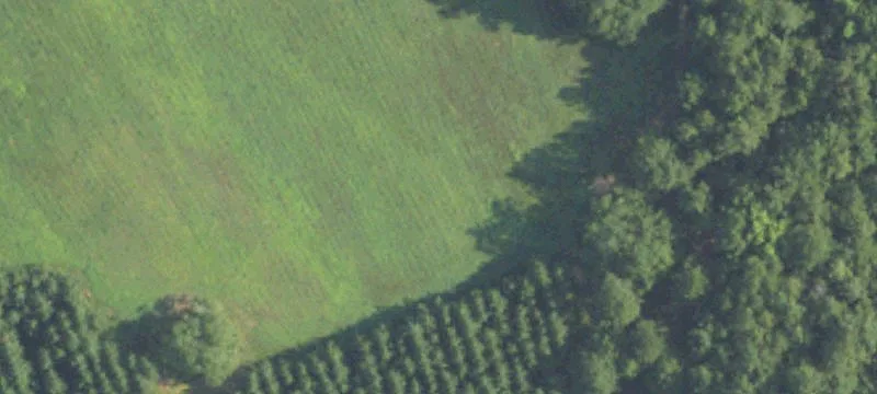 Unrestricted Acreage with Road Utilities