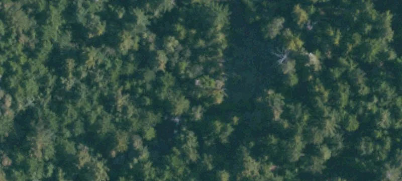Timber-Resource Retreat Land