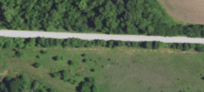 Residential Development Tract with Mature Trees