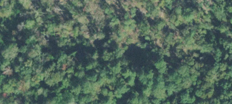 Fenced Cattle Farm with Barn