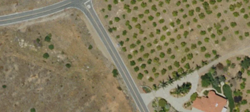 Gated Haas Avocado Grove Land