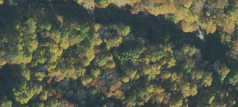 Wooded Cul-de-Sac Lot