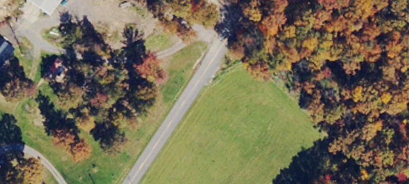 Unrestricted Wooded Land Parcel