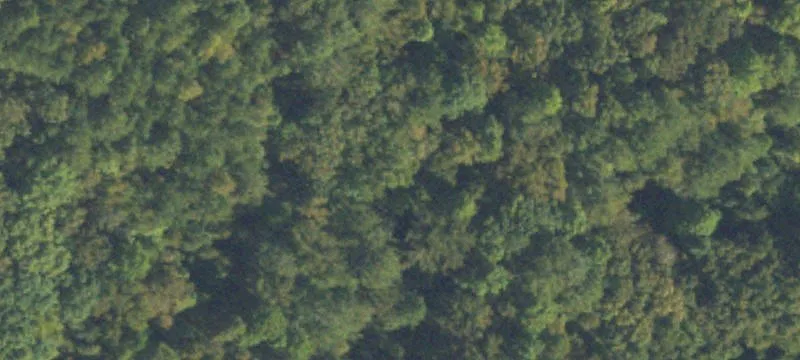 Hunting Land For Sale