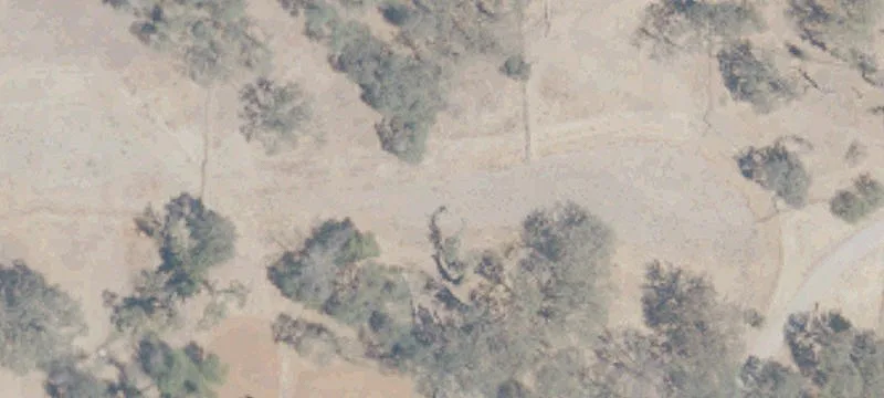 Equestrian Ranch with Covered Arena
